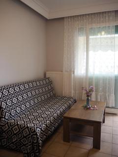 Dimitris apartment - Palaión Tsiflíkion - 7