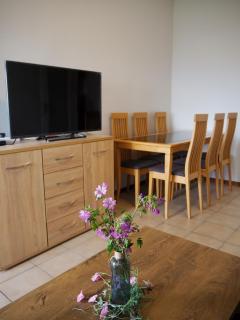 Dimitris apartment - Palaión Tsiflíkion - 4