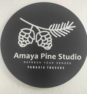 Amaya Pine Studio - 9