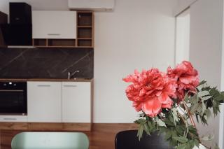 Central Apartment Maister - Kranj - 8