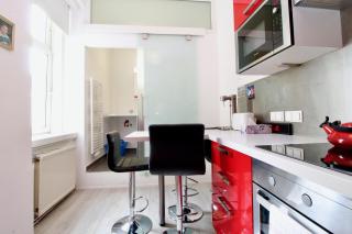 BRIGHT ELEGANT FLAT in Center - Wenen - 4