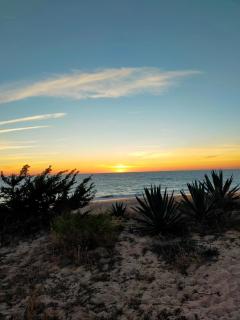 SOLEA 17 - Rota - 9