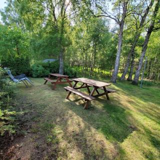 Aviemore Bungalow, Dalfaber - 5