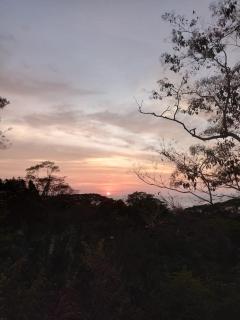 Laurel Jungle & Ocean - Santa Teresa Beach - 1