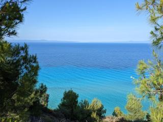 Blue Dream Afytos - Afitos - 1