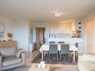 Bright apartment with the terrace - Middelkerke - 4