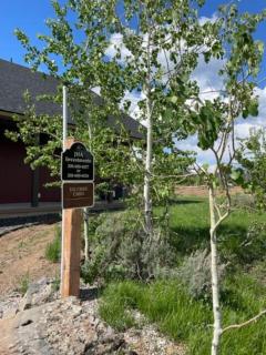 3505 Joseph Dr Cabin with breathtaking views, 30 miles to Yellowstone - Island Park - 7
