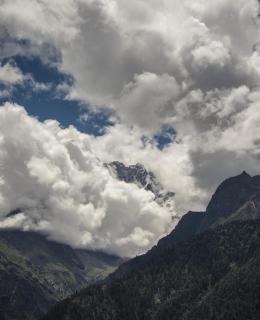 Aaruhee Homestay - Kalpa - 9