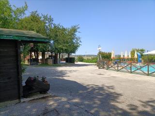 Villa I Girasoli - Tavullia - 3