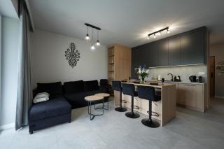 Apartament Laguna Beskidów Parzenica z sauną i siłownią - Dream Apart - Zarzecze - 0