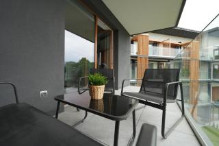 Apartament Laguna Beskidów Parzenica z sauną i siłownią - Dream Apart - Zarzecze - 8