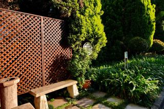 Road Lodge JNB Airport - 7