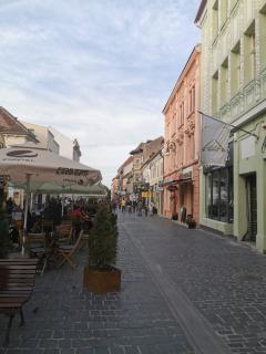Central Petit Room - Brasov - 7