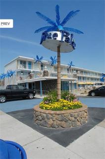 Blue Palms Resort - Wildwood - 0