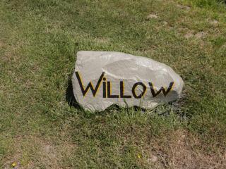 Willow - Ulverston - 8