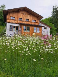 Villa Hansalhof, Wohnung Rosenduft - Mariapfarr - 8