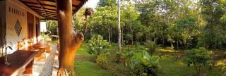 Hutan Subur Guest House and Volunteering - Bukit Lawang - 7
