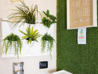 Live Puertito Neptune Beach - 1