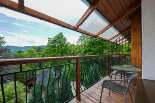 Willa Wincentówka w sercu Uzdrowiska - 3