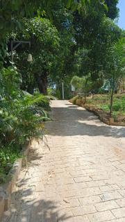 OXYHUT RESORT - Wayanad - 2