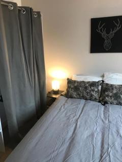 Bel appartement 6p Tours Centre - Tours - 4