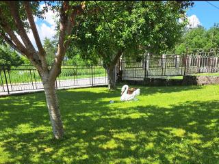 Apartman Ivo - Livno - 1