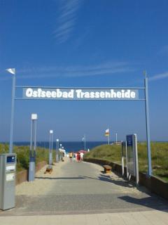 Hotel Kaliebe - Trassenheide - 9