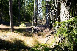 Tahlo Luxury Tent Glamping - Mutala - 1