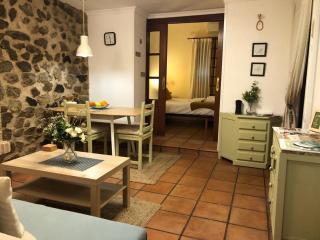 Apartamento familiar en Toledo, con 2 dormitorios, camas de matrimonio, ideal ubicación y fantàsticas vistas - 0