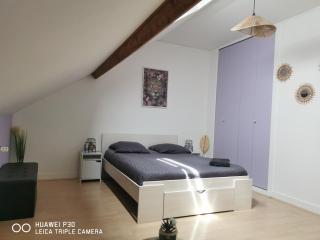 2 chambres privatives avec Sdb proche circuit - Arnage - 0