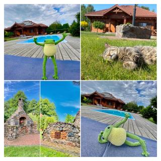 Rezydencja z basenem i SPA na Podlasiu - Krypno Wielkie - 6
