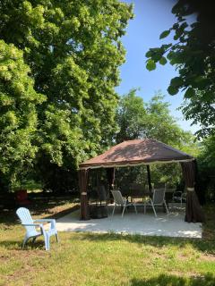 Le petit monas - Civaux - 0