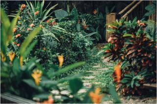 Trang An Ecolodge - 5