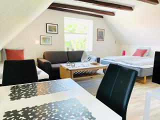Scandinavian Apartment Hotel - Prison Museum 2 - one room apartment - Horsens - 3