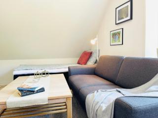 Scandinavian Apartment Hotel - Prison Museum 2 - one room apartment - Horsens - 6