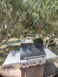 Apartment "King" Cesarica-Karlobag - 4