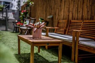 Dizengoff square garden - 3