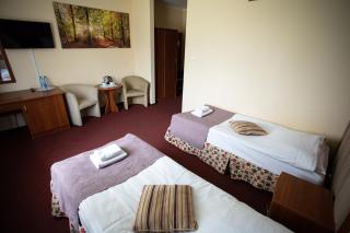 Hotel pod Wierzba - Świdnica - 7