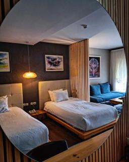 Aurora Resort & Spa - Berovo - 9