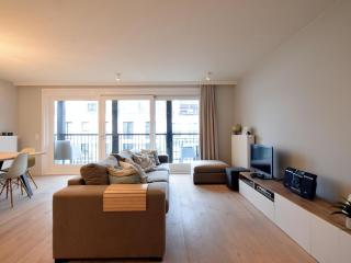 Barfleur apartment with sun terrace - De Haan - 0