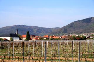 Luxus-Idyll mit Pfalz-Panorama - 7