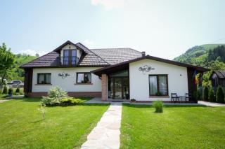 Chalet Bora - Vişeu de Jos - 1