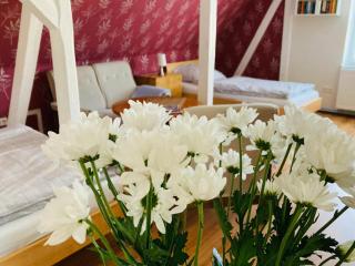 Ferienwohnung Warnowidyll - - 2