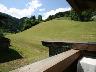 Apartment Schusterhäusl-1 by Interhome - 2