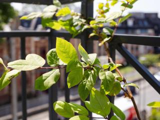 Apartment Elisa-1 by Interhome - 2