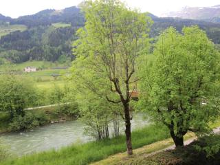 Apartment Walter by Interhome - Bad Hofgastein - 3