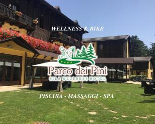Parco dei Pini - Sila Wellness Hotel - Taverna - 0