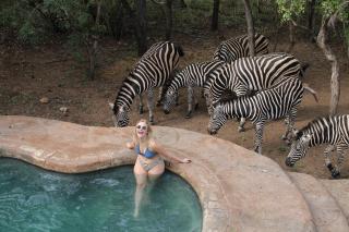 Kruger Park Hostel - Marloth Park - 0