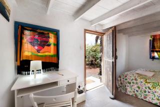 Aloe Art - Teguise - 1