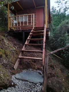 Glamping entre bosques - La Calera - 4